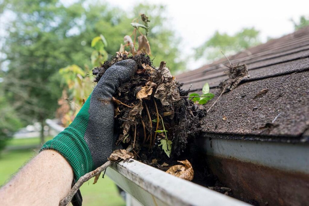 Technician performing gutter cleaning on a Geelong home