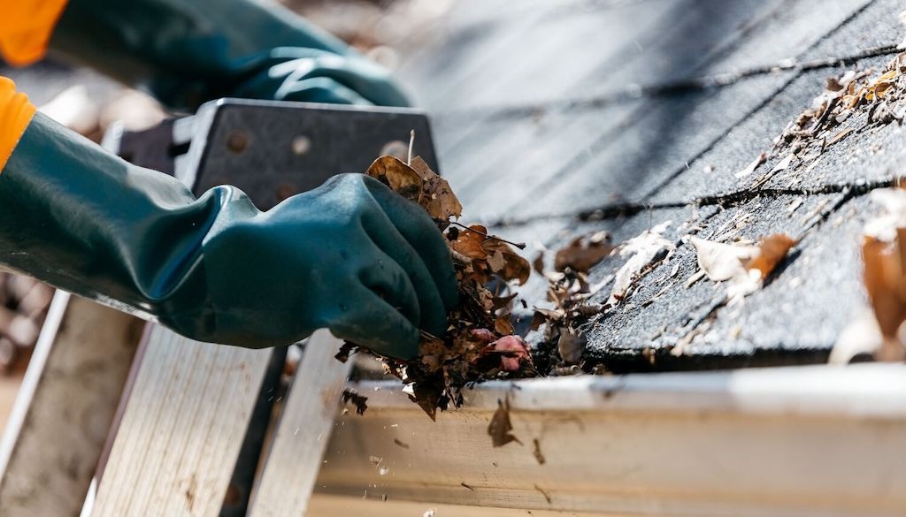 gutter cleaning frequency Lyndhurst